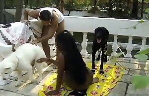 Latina giao nộp lỗ nóng của mình cho một con chó